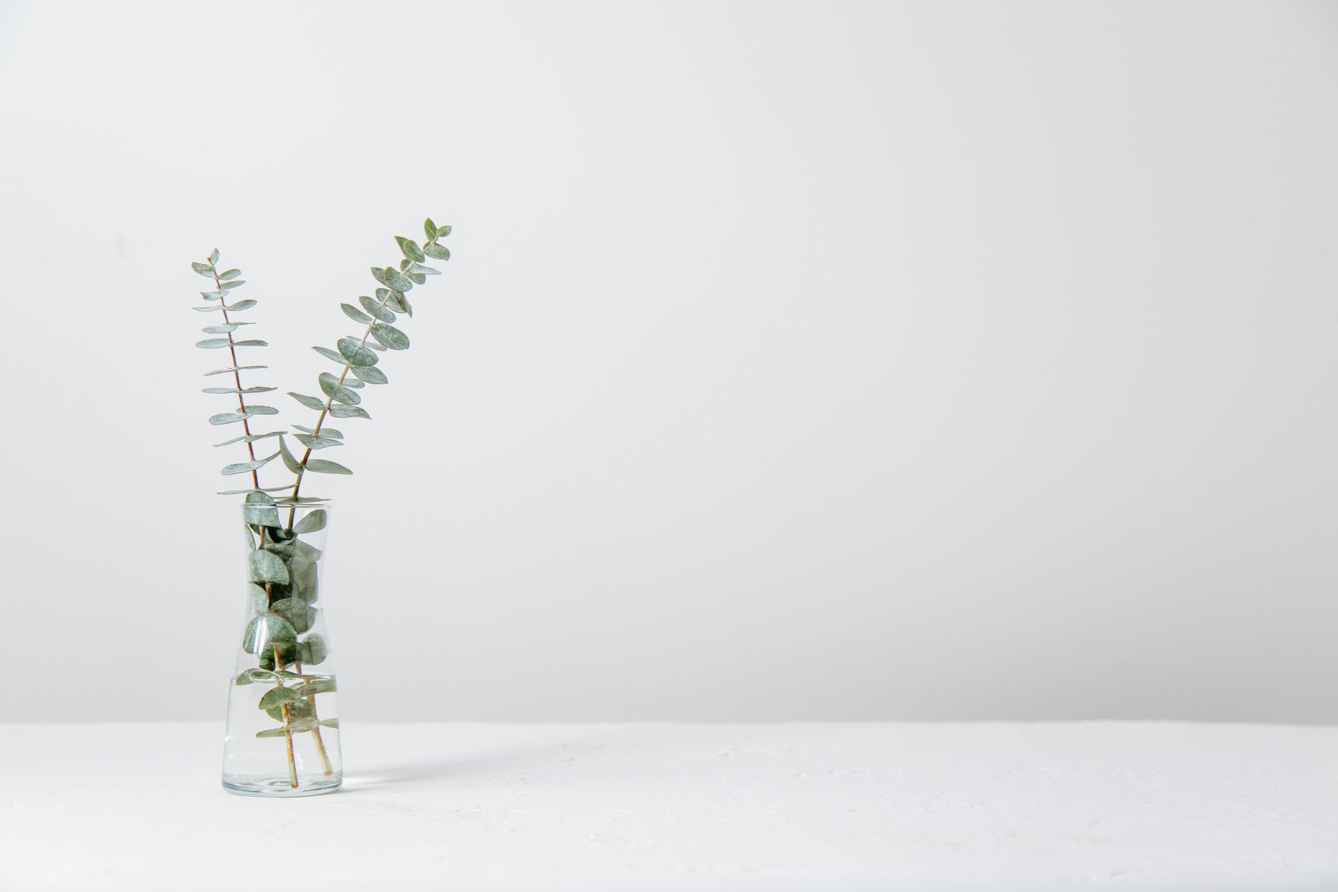 Eucalyptus stems laid on a pale linen surface