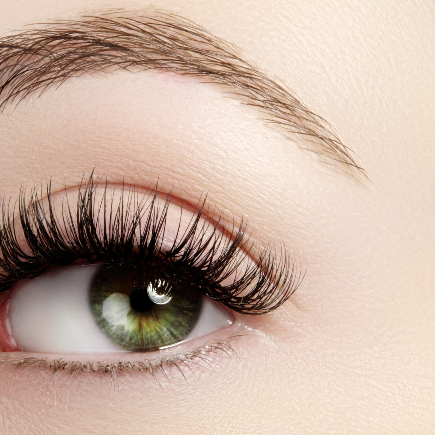 Close-up of an eye with full, curled lash extensions and a groomed brow